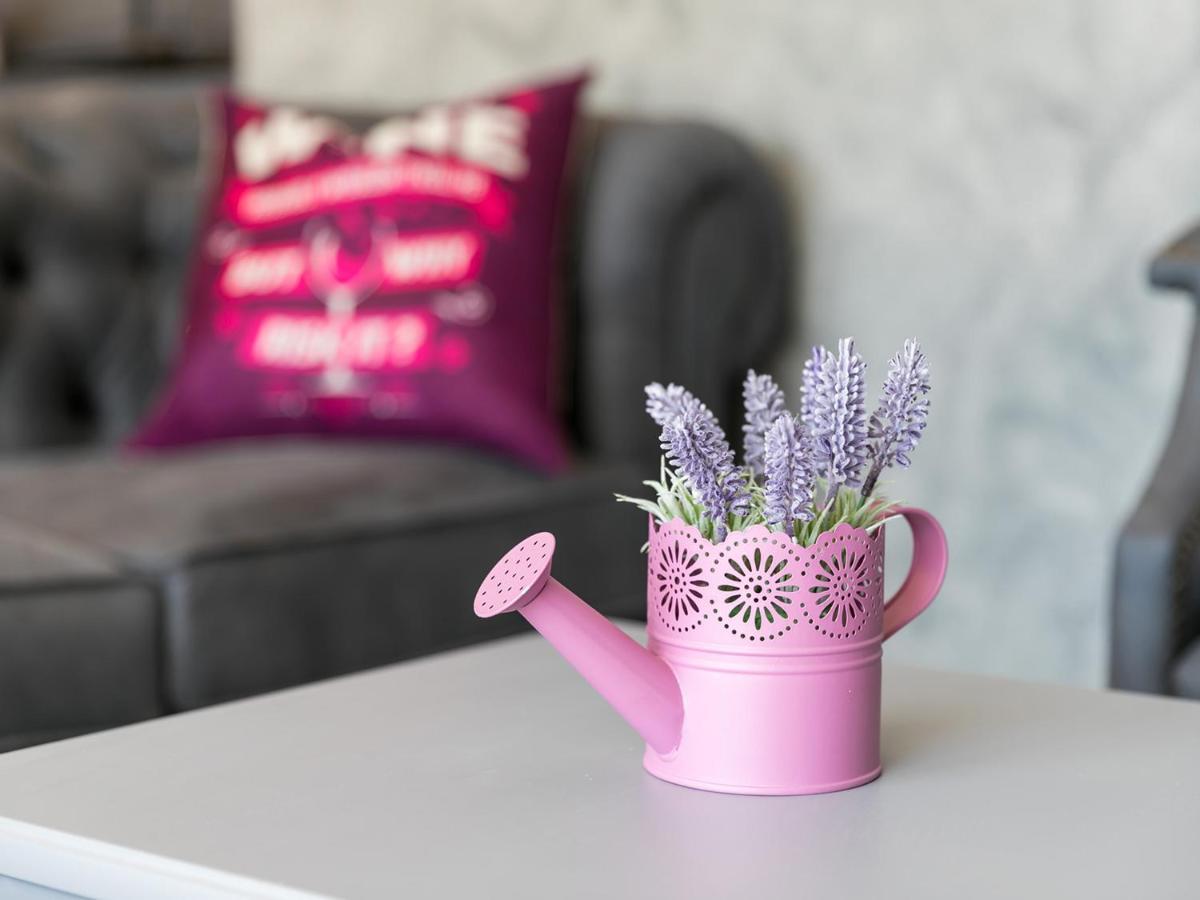 Villa Lavanda Nova Vas  外观 照片